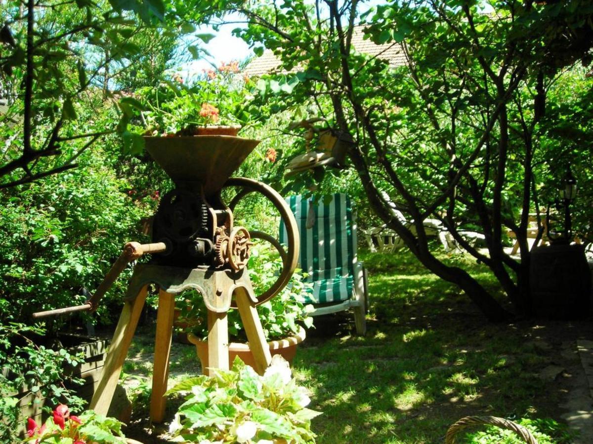 Gite Charmant Avec Jardin Privatif, Proche Sites Historiques Et Activites De Plein Air - Fr-1-496-183 Cuinzier Exteriér fotografie